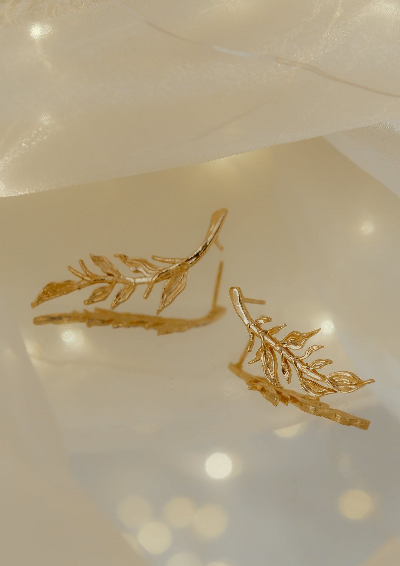 Aretes Naturaleza